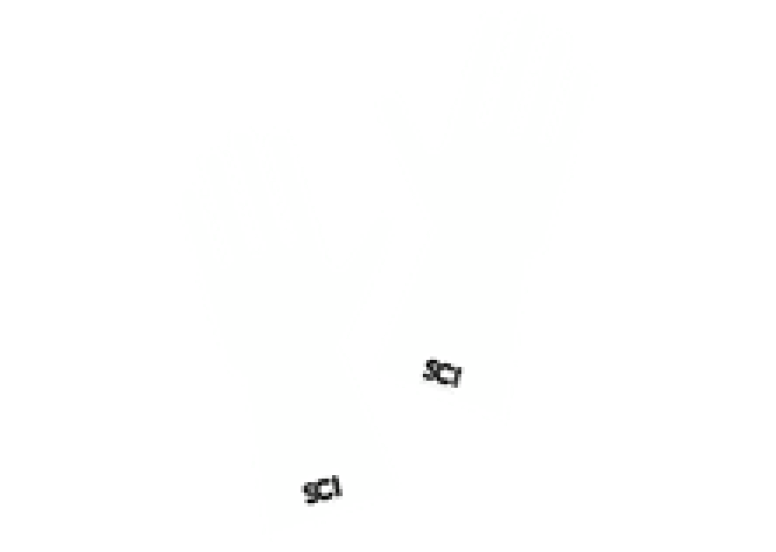 Gants plastiques